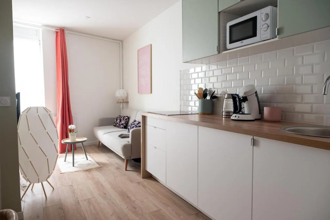 Appartement A Vienne France
